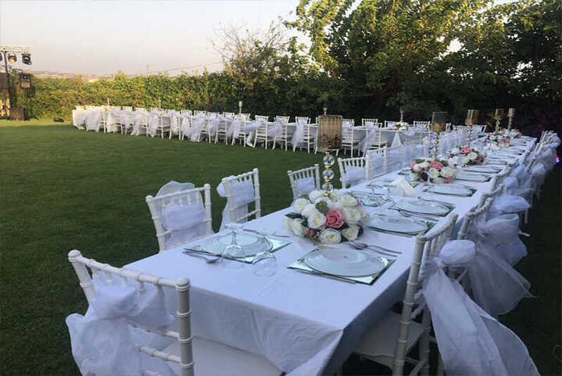 kina-napolyon-sandalye-kiralama